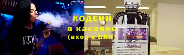 крисы Баксан