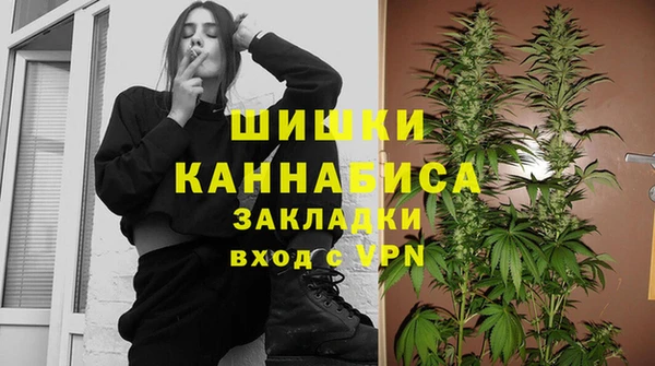 крисы Баксан