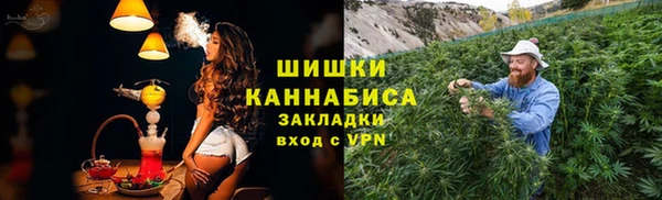 крисы Баксан