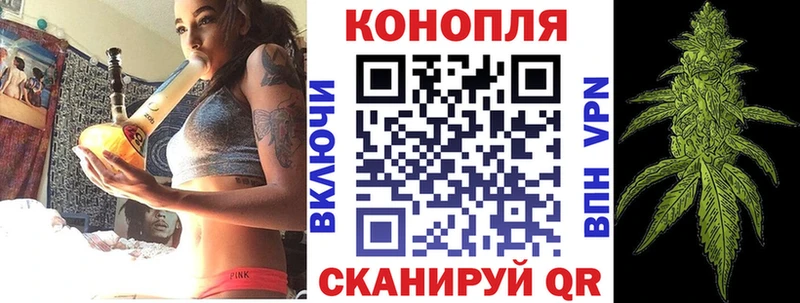 Бошки Шишки ГИДРОПОН Демидов